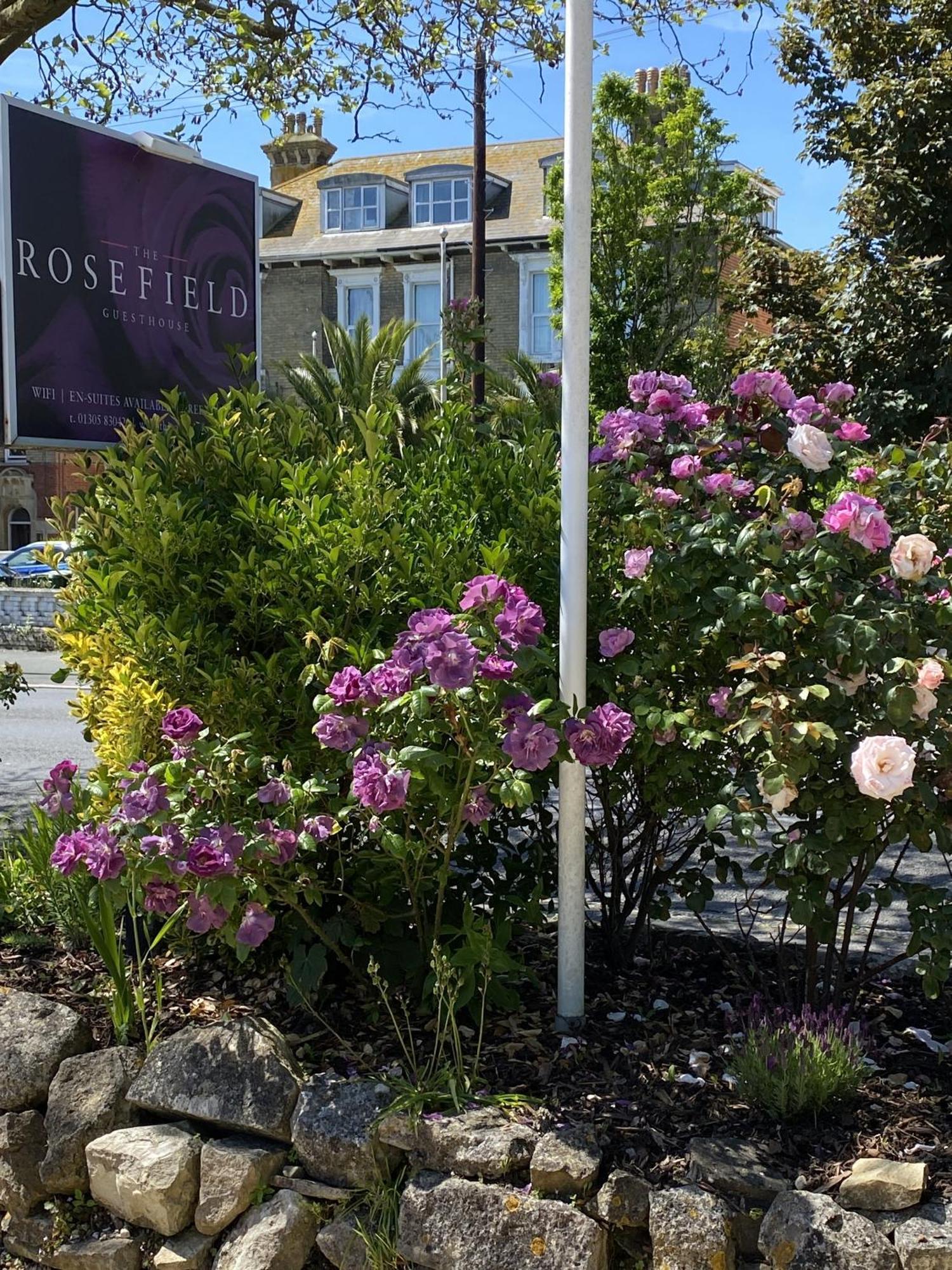 The Rosefield Hotel Weymouth Luaran gambar